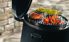 Rotissoire Grill Fumoir Gaz Charbroil Lyon