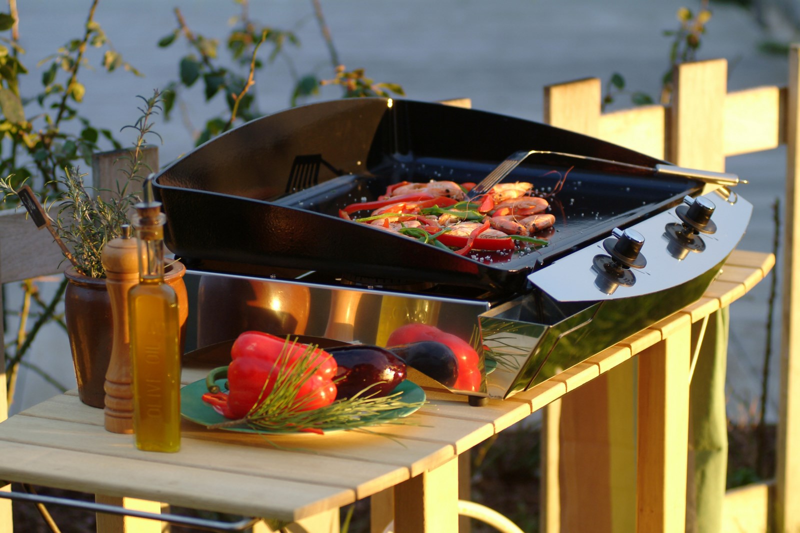 Trouver une plancha ENO Mania ou Riviera à Ecully